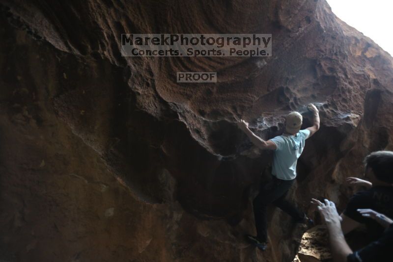 

Filename: SRM_20211107_2201120.jpg
Aperture: f/2.8
Shutter Speed: 1/250
Body: Canon EOS R6
Lens: Canon EF 16-35mm f/2.8 L