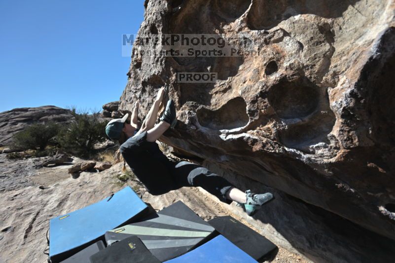 

Filename: SRM_20211113_1046090.jpg
Aperture: f/5.6
Shutter Speed: 1/1000
Body: Canon EOS R6
Lens: Canon EF 16-35mm f/2.8 L