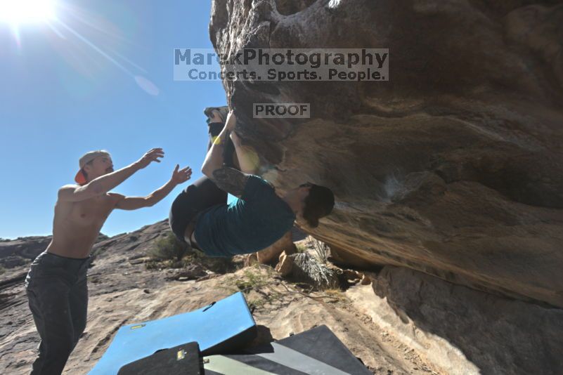 

Filename: SRM_20211113_1052211.jpg
Aperture: f/5.6
Shutter Speed: 1/640
Body: Canon EOS R6
Lens: Canon EF 16-35mm f/2.8 L