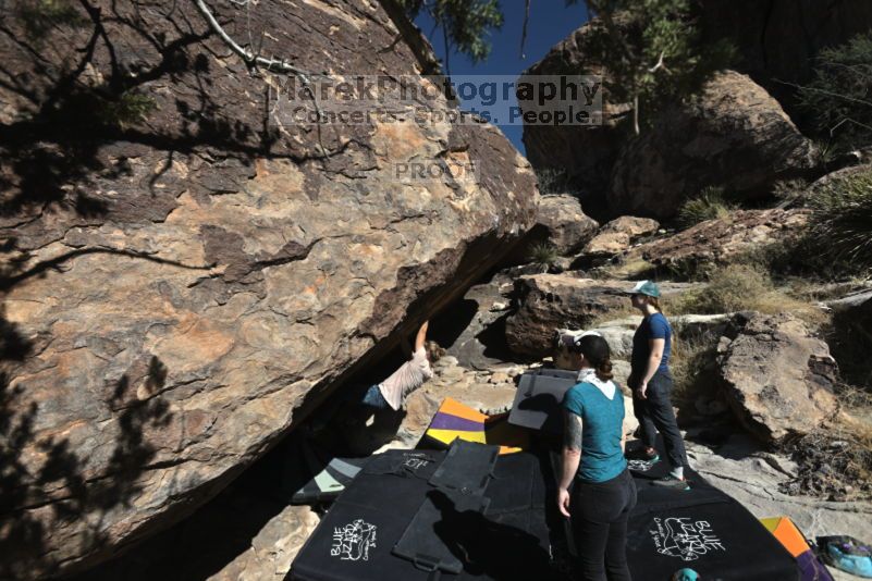 

Filename: SRM_20211113_1132100.jpg
Aperture: f/5.6
Shutter Speed: 1/640
Body: Canon EOS R6
Lens: Canon EF 16-35mm f/2.8 L