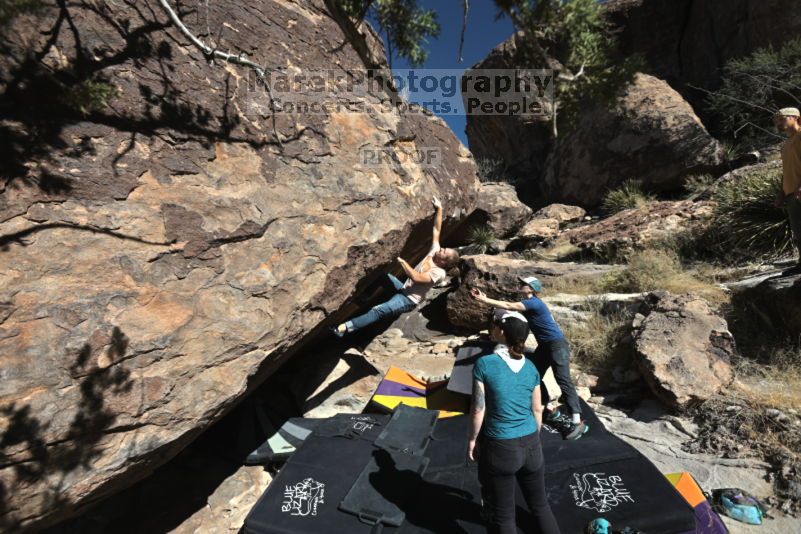 

Filename: SRM_20211113_1132230.jpg
Aperture: f/5.6
Shutter Speed: 1/640
Body: Canon EOS R6
Lens: Canon EF 16-35mm f/2.8 L