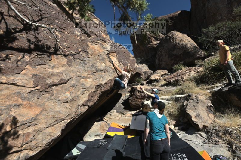 

Filename: SRM_20211113_1132500.jpg
Aperture: f/5.6
Shutter Speed: 1/640
Body: Canon EOS R6
Lens: Canon EF 16-35mm f/2.8 L