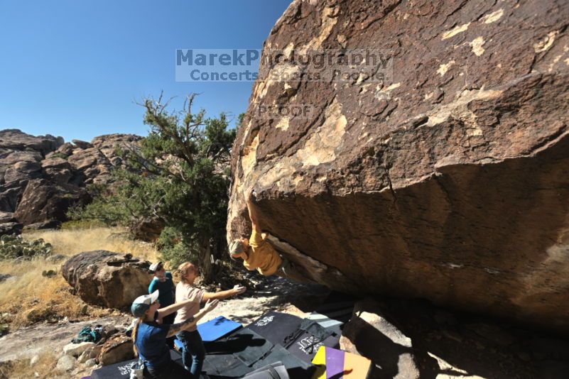 

Filename: SRM_20211113_1142290.jpg
Aperture: f/5.6
Shutter Speed: 1/640
Body: Canon EOS R6
Lens: Canon EF 16-35mm f/2.8 L