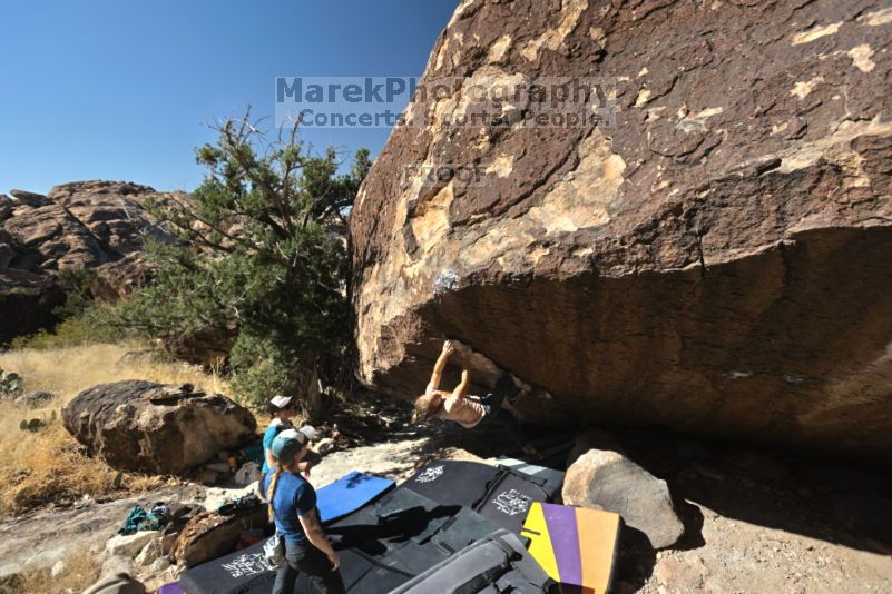 

Filename: SRM_20211113_1144450.jpg
Aperture: f/5.6
Shutter Speed: 1/640
Body: Canon EOS R6
Lens: Canon EF 16-35mm f/2.8 L