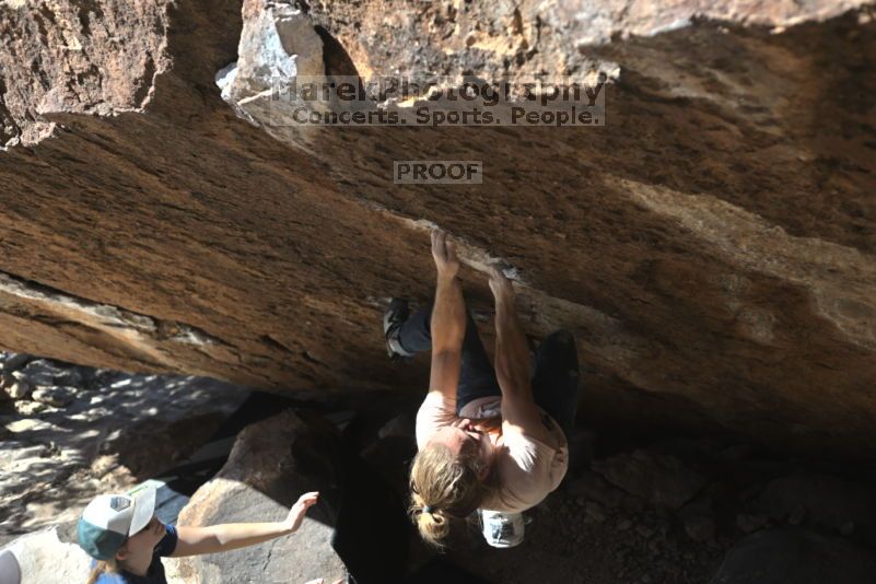 

Filename: SRM_20211113_1209110.jpg
Aperture: f/3.5
Shutter Speed: 1/640
Body: Canon EOS R6
Lens: Canon EF 50mm f/1.8 II