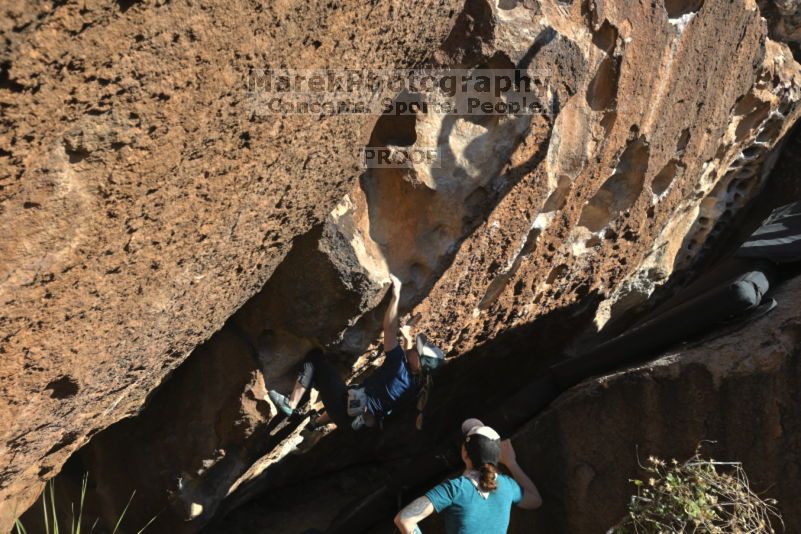 

Filename: SRM_20211113_1449280.jpg
Aperture: f/5.6
Shutter Speed: 1/500
Body: Canon EOS R6
Lens: Canon EF 16-35mm f/2.8 L