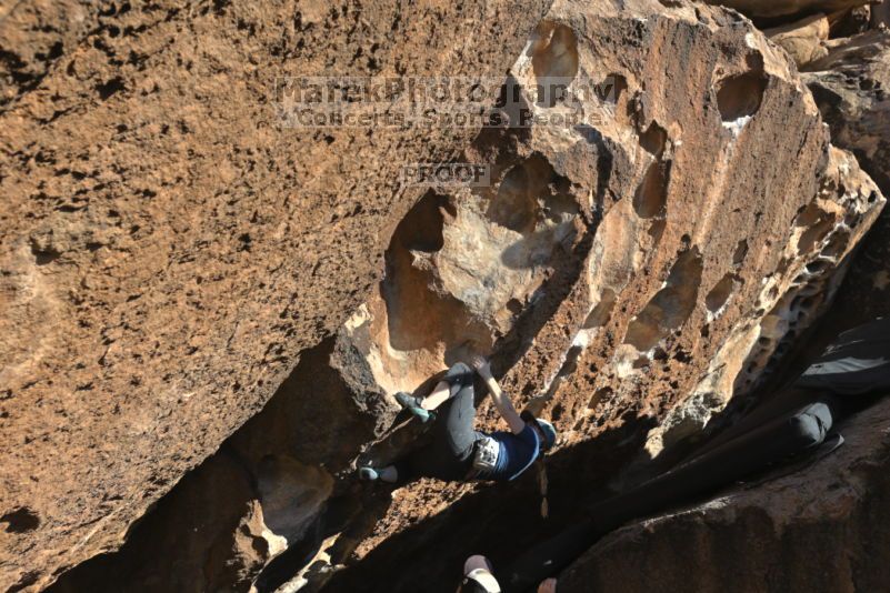 

Filename: SRM_20211113_1452030.jpg
Aperture: f/5.6
Shutter Speed: 1/500
Body: Canon EOS R6
Lens: Canon EF 16-35mm f/2.8 L