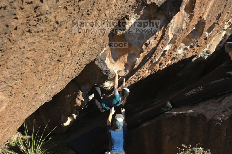 

Filename: SRM_20211113_1458590.jpg
Aperture: f/5.6
Shutter Speed: 1/500
Body: Canon EOS R6
Lens: Canon EF 16-35mm f/2.8 L