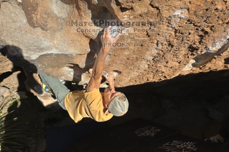 

Filename: SRM_20211113_1506210.jpg
Aperture: f/5.6
Shutter Speed: 1/500
Body: Canon EOS R6
Lens: Canon EF 16-35mm f/2.8 L