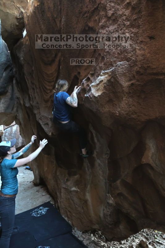 

Filename: SRM_20211113_1639170.jpg
Aperture: f/4.0
Shutter Speed: 1/200
Body: Canon EOS R6
Lens: Canon EF 16-35mm f/2.8 L