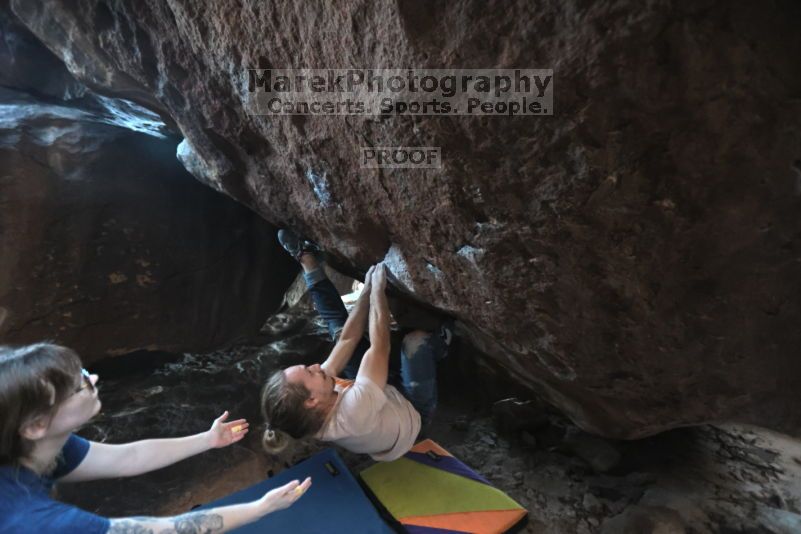 

Filename: SRM_20211113_1649170.jpg
Aperture: f/2.8
Shutter Speed: 1/250
Body: Canon EOS R6
Lens: Canon EF 16-35mm f/2.8 L