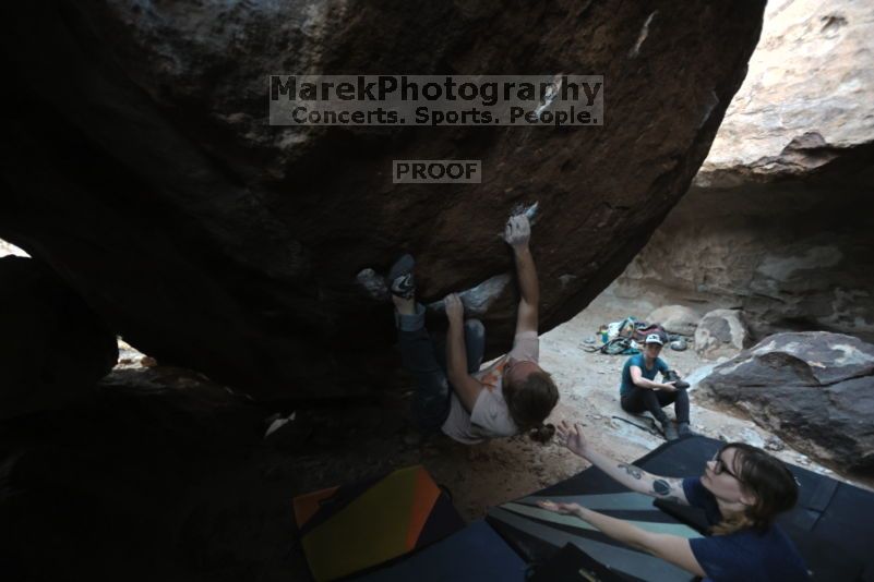 

Filename: SRM_20211113_1651160.jpg
Aperture: f/2.8
Shutter Speed: 1/250
Body: Canon EOS R6
Lens: Canon EF 16-35mm f/2.8 L