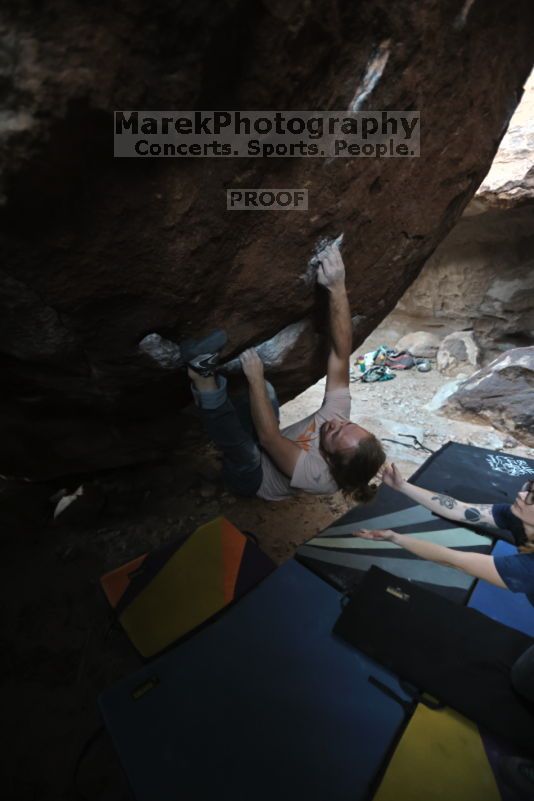 

Filename: SRM_20211113_1652550.jpg
Aperture: f/2.8
Shutter Speed: 1/250
Body: Canon EOS R6
Lens: Canon EF 16-35mm f/2.8 L