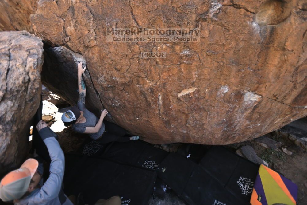 

Filename: SRM_20211114_0939390.jpg
Aperture: f/2.8
Shutter Speed: 1/250
Body: Canon EOS R6
Lens: Canon EF 16-35mm f/2.8 L