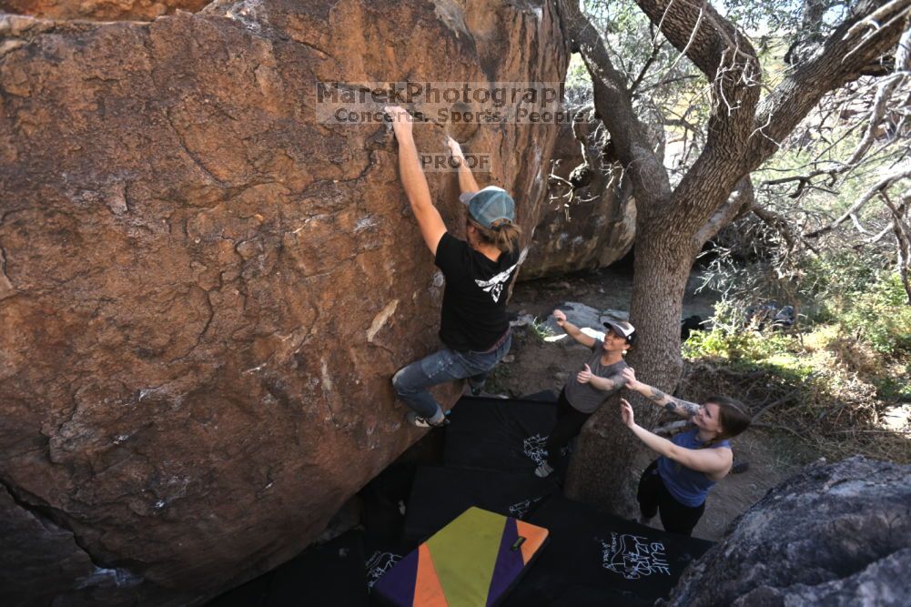 

Filename: SRM_20211114_1003110.jpg
Aperture: f/5.0
Shutter Speed: 1/500
Body: Canon EOS R6
Lens: Canon EF 16-35mm f/2.8 L