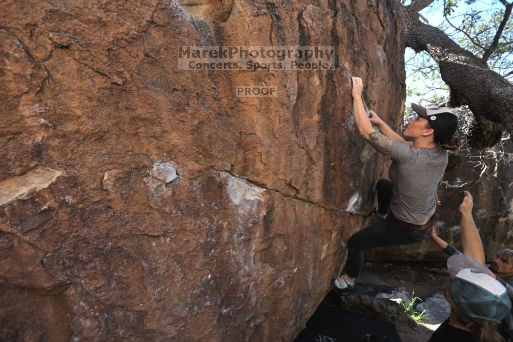 

Filename: SRM_20211114_1015230.jpg
Aperture: f/5.0
Shutter Speed: 1/500
Body: Canon EOS R6
Lens: Canon EF 16-35mm f/2.8 L