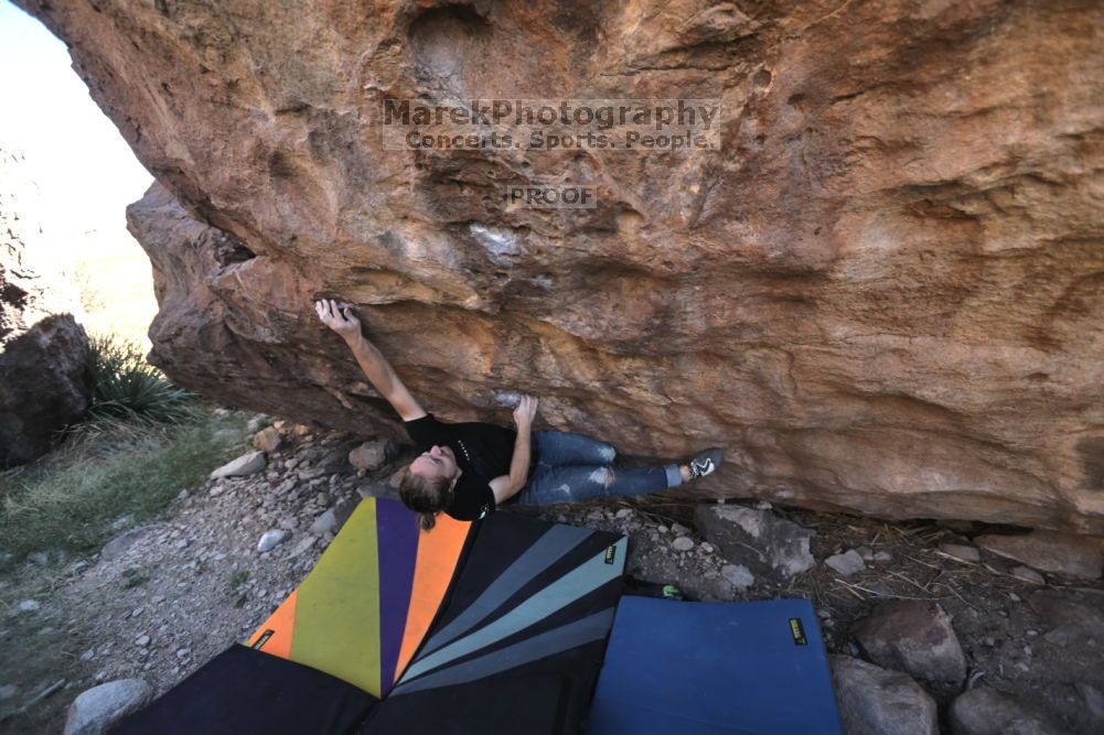 

Filename: SRM_20211114_1154020.jpg
Aperture: f/5.0
Shutter Speed: 1/500
Body: Canon EOS R6
Lens: Canon EF 16-35mm f/2.8 L