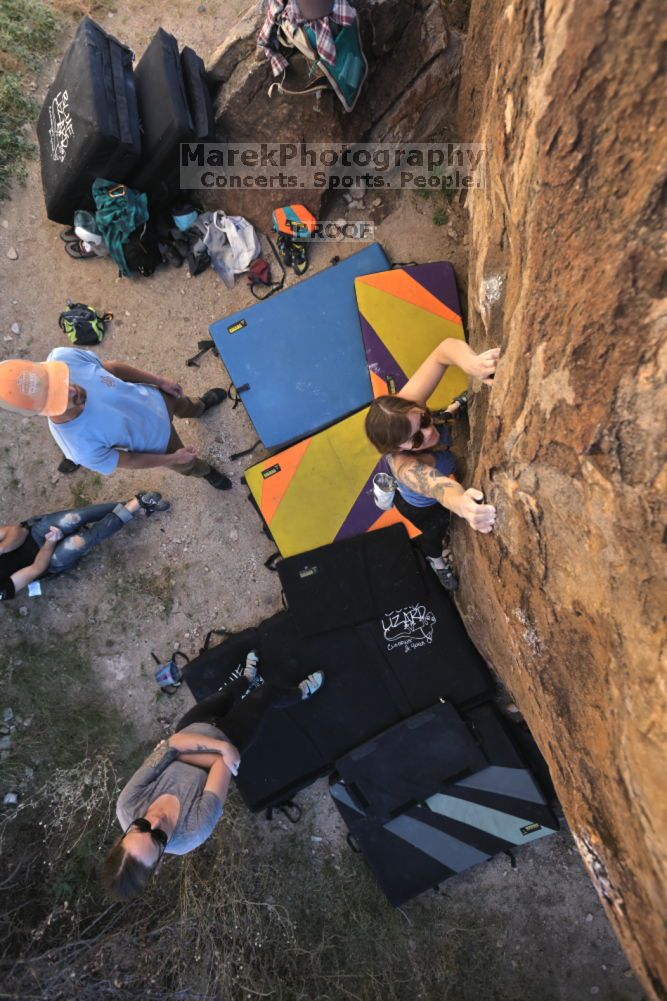 

Filename: SRM_20211114_1457120.jpg
Aperture: f/5.6
Shutter Speed: 1/500
Body: Canon EOS R6
Lens: Canon EF 16-35mm f/2.8 L