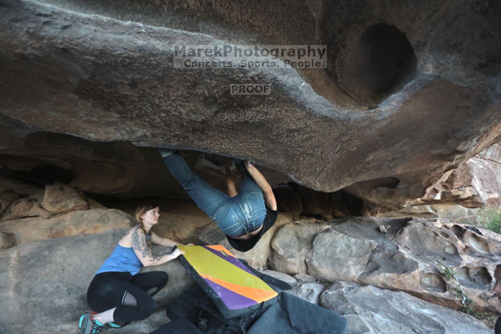 

Filename: SRM_20211114_1646170.jpg
Aperture: f/3.5
Shutter Speed: 1/800
Body: Canon EOS R6
Lens: Canon EF 16-35mm f/2.8 L