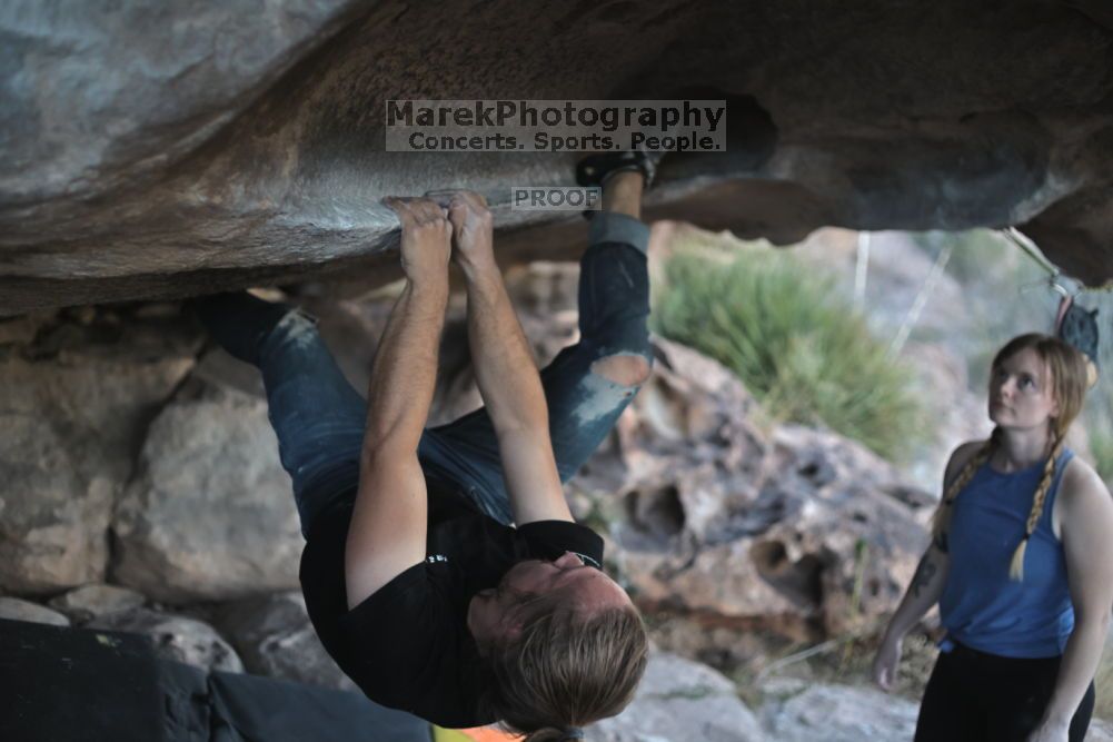 

Filename: SRM_20211114_1703030.jpg
Aperture: f/2.5
Shutter Speed: 1/400
Body: Canon EOS R6
Lens: Canon EF 50mm f/1.8 II