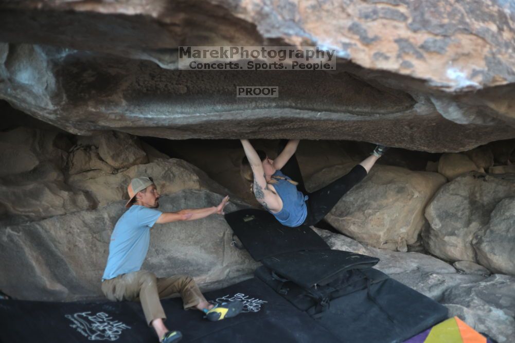 

Filename: SRM_20211114_1705510.jpg
Aperture: f/2.5
Shutter Speed: 1/400
Body: Canon EOS R6
Lens: Canon EF 50mm f/1.8 II