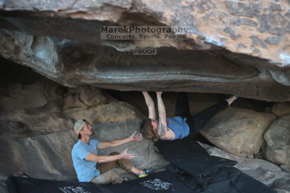 

Filename: SRM_20211114_1705570.jpg
Aperture: f/2.5
Shutter Speed: 1/400
Body: Canon EOS R6
Lens: Canon EF 50mm f/1.8 II