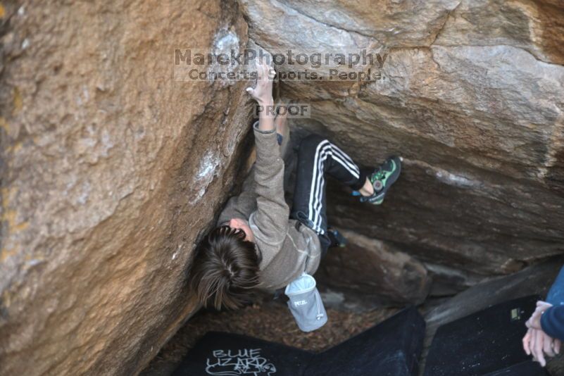 

Filename: SRM_20211121_0944360.jpg
Aperture: f/2.2
Shutter Speed: 1/400
Body: Canon EOS R6
Lens: Canon EF 50mm f/1.8 II