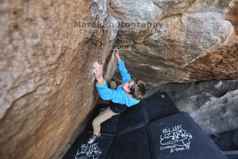 

Filename: SRM_20211121_1012400.jpg
Aperture: f/2.8
Shutter Speed: 1/400
Body: Canon EOS R6
Lens: Canon EF 16-35mm f/2.8 L