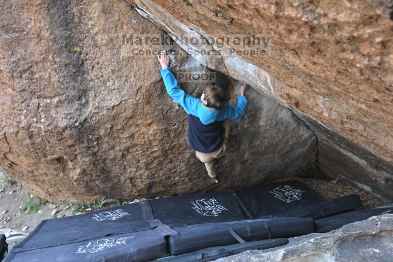 

Filename: SRM_20211121_1041490.jpg
Aperture: f/5.6
Shutter Speed: 1/400
Body: Canon EOS R6
Lens: Canon EF 16-35mm f/2.8 L