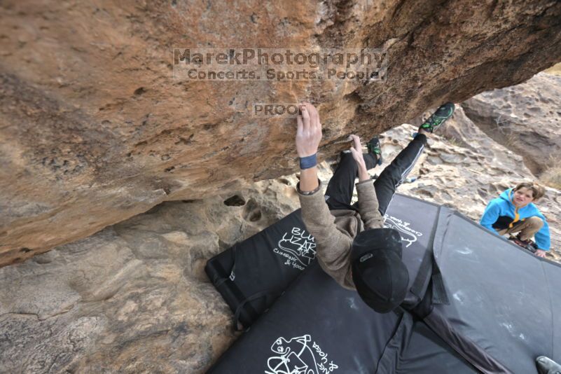 

Filename: SRM_20211121_1115080.jpg
Aperture: f/5.6
Shutter Speed: 1/400
Body: Canon EOS R6
Lens: Canon EF 16-35mm f/2.8 L