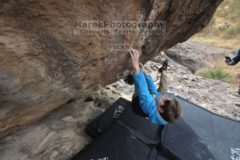 

Filename: SRM_20211121_1120441.jpg
Aperture: f/5.6
Shutter Speed: 1/400
Body: Canon EOS R6
Lens: Canon EF 16-35mm f/2.8 L