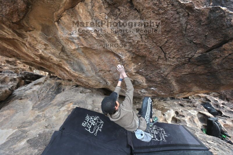 

Filename: SRM_20211121_1127100.jpg
Aperture: f/5.6
Shutter Speed: 1/400
Body: Canon EOS R6
Lens: Canon EF 16-35mm f/2.8 L