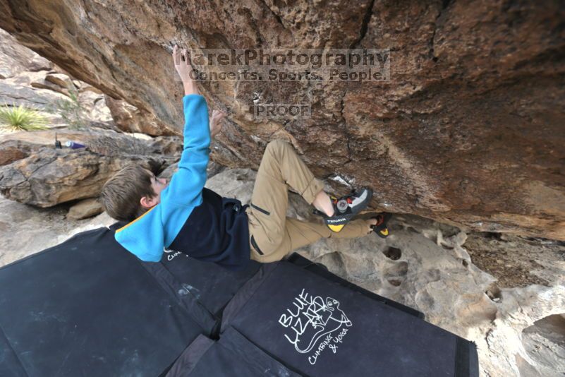 

Filename: SRM_20211121_1140261.jpg
Aperture: f/5.6
Shutter Speed: 1/400
Body: Canon EOS R6
Lens: Canon EF 16-35mm f/2.8 L