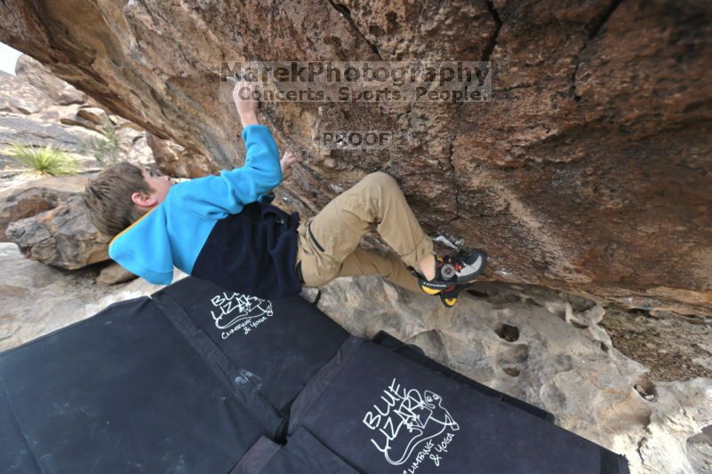 

Filename: SRM_20211121_1140280.jpg
Aperture: f/5.6
Shutter Speed: 1/400
Body: Canon EOS R6
Lens: Canon EF 16-35mm f/2.8 L