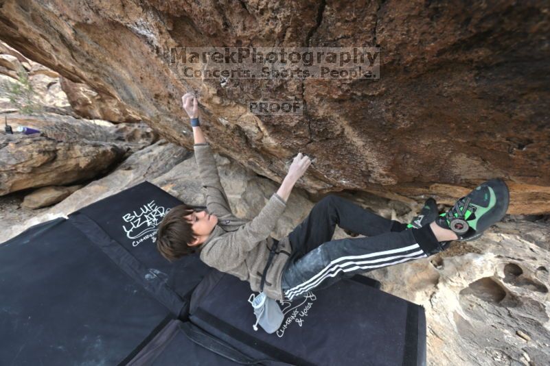 

Filename: SRM_20211121_1141000.jpg
Aperture: f/5.6
Shutter Speed: 1/400
Body: Canon EOS R6
Lens: Canon EF 16-35mm f/2.8 L