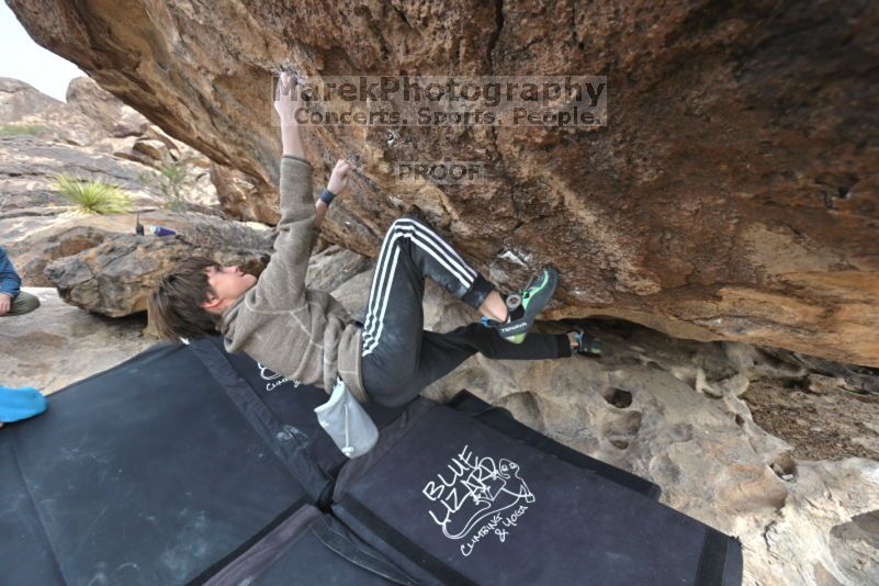 

Filename: SRM_20211121_1141330.jpg
Aperture: f/5.6
Shutter Speed: 1/400
Body: Canon EOS R6
Lens: Canon EF 16-35mm f/2.8 L