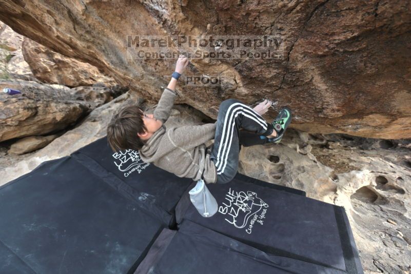 

Filename: SRM_20211121_1142380.jpg
Aperture: f/5.6
Shutter Speed: 1/400
Body: Canon EOS R6
Lens: Canon EF 16-35mm f/2.8 L