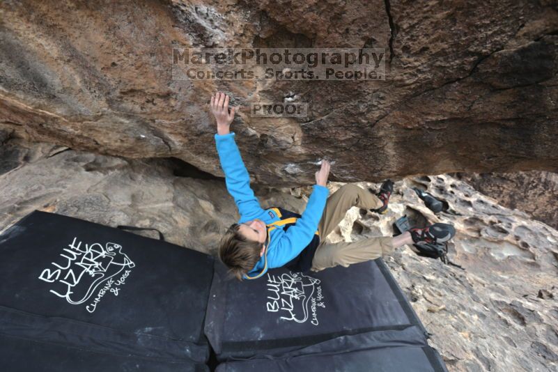 

Filename: SRM_20211121_1237040.jpg
Aperture: f/5.6
Shutter Speed: 1/400
Body: Canon EOS R6
Lens: Canon EF 16-35mm f/2.8 L