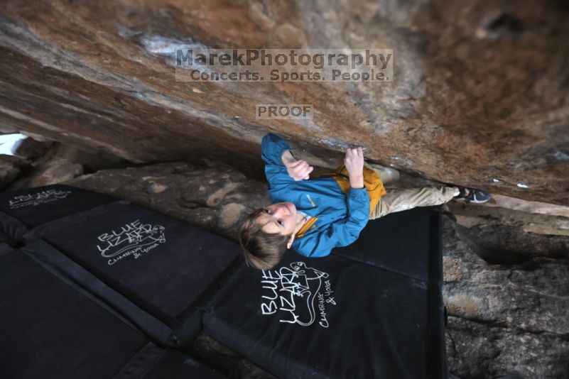 

Filename: SRM_20211121_1334220.jpg
Aperture: f/3.2
Shutter Speed: 1/400
Body: Canon EOS R6
Lens: Canon EF 16-35mm f/2.8 L