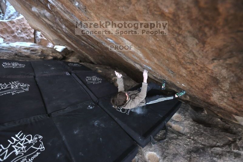 

Filename: SRM_20211121_1339320.jpg
Aperture: f/4.0
Shutter Speed: 1/400
Body: Canon EOS R6
Lens: Canon EF 16-35mm f/2.8 L