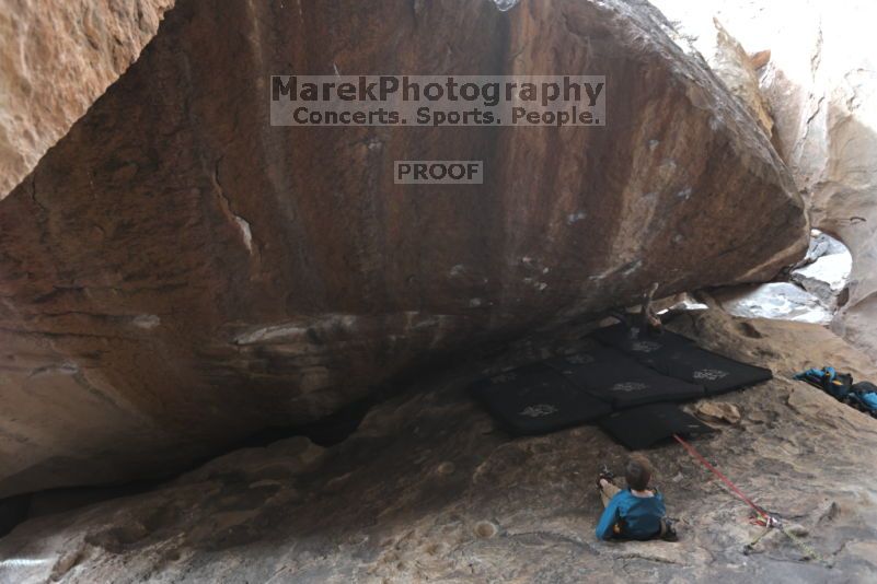 

Filename: SRM_20211121_1341170.jpg
Aperture: f/4.0
Shutter Speed: 1/400
Body: Canon EOS R6
Lens: Canon EF 16-35mm f/2.8 L