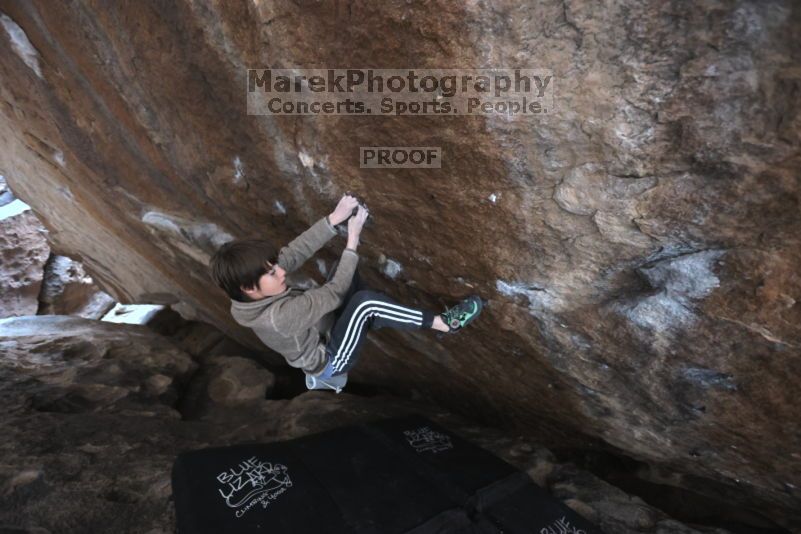 

Filename: SRM_20211121_1429280.jpg
Aperture: f/4.0
Shutter Speed: 1/400
Body: Canon EOS R6
Lens: Canon EF 16-35mm f/2.8 L