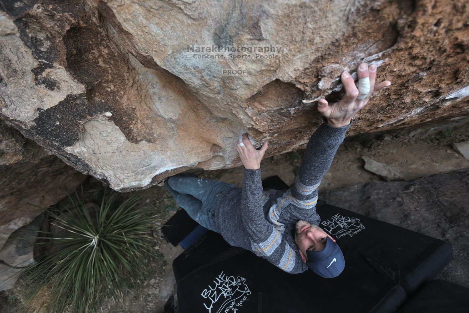 

Filename: SRM_20211125_1010010.jpg
Aperture: f/4.0
Shutter Speed: 1/400
Body: Canon EOS R6
Lens: Canon EF 16-35mm f/2.8 L