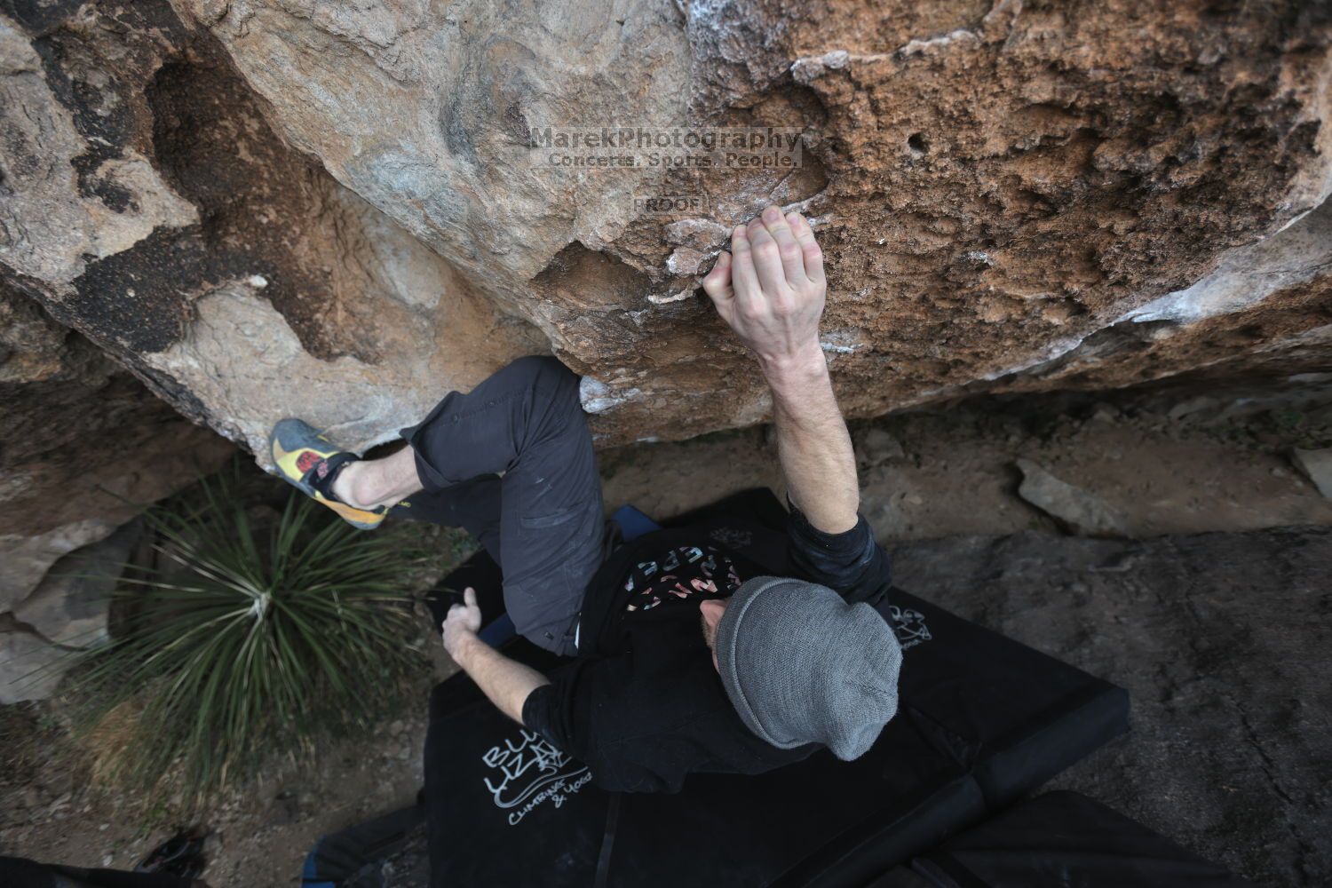 

Filename: SRM_20211125_1013590.jpg
Aperture: f/4.0
Shutter Speed: 1/400
Body: Canon EOS R6
Lens: Canon EF 16-35mm f/2.8 L