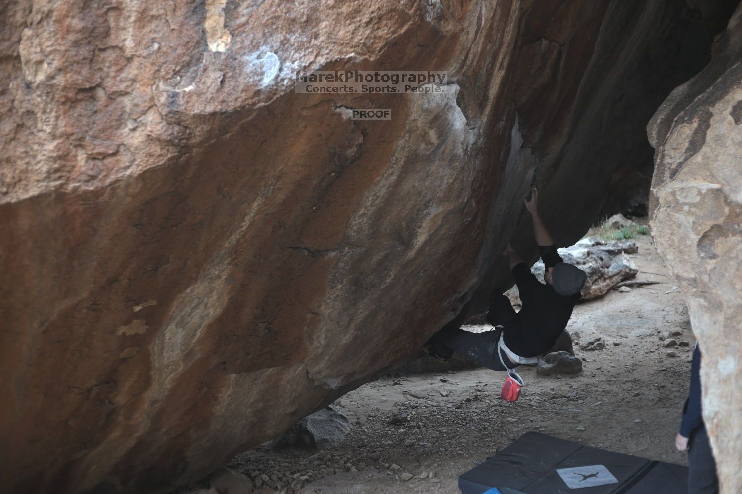 

Filename: SRM_20211125_1050590.jpg
Aperture: f/2.8
Shutter Speed: 1/400
Body: Canon EOS R6
Lens: Canon EF 50mm f/1.8 II