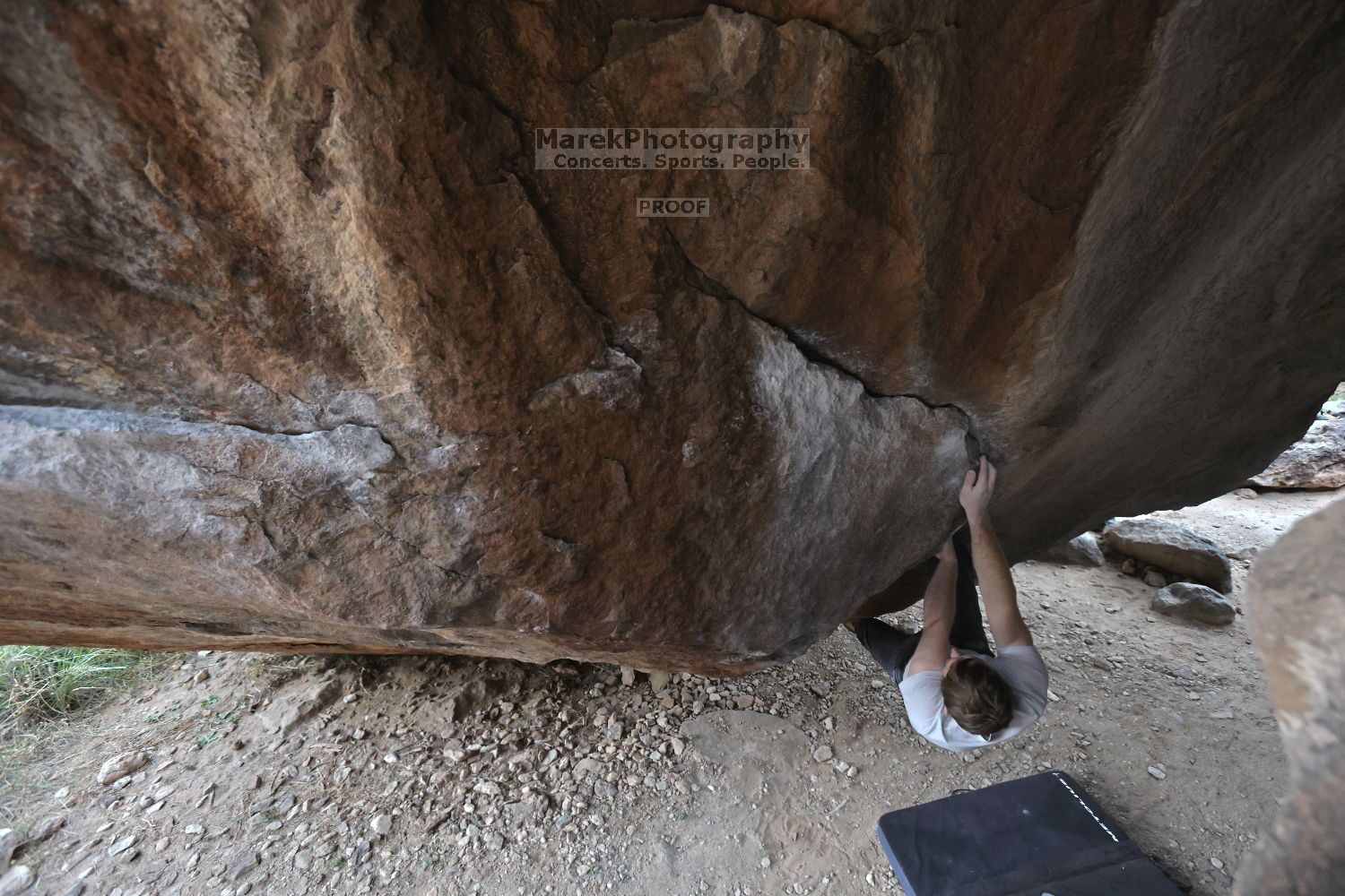 

Filename: SRM_20211125_1333311.jpg
Aperture: f/5.6
Shutter Speed: 1/400
Body: Canon EOS R6
Lens: Canon EF 16-35mm f/2.8 L