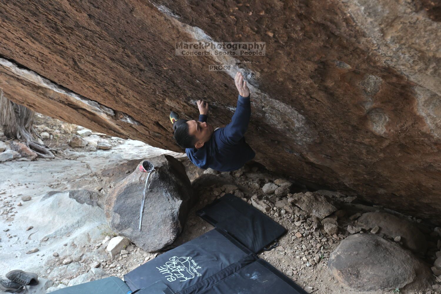 

Filename: SRM_20211125_1410460.jpg
Aperture: f/5.6
Shutter Speed: 1/400
Body: Canon EOS R6
Lens: Canon EF 16-35mm f/2.8 L