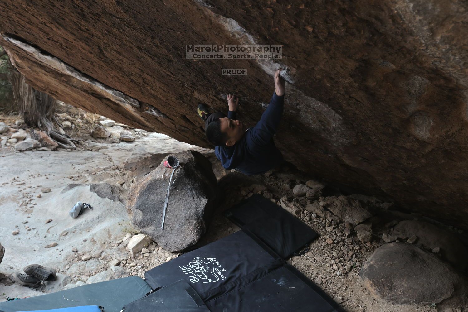 

Filename: SRM_20211125_1413010.jpg
Aperture: f/5.6
Shutter Speed: 1/400
Body: Canon EOS R6
Lens: Canon EF 16-35mm f/2.8 L