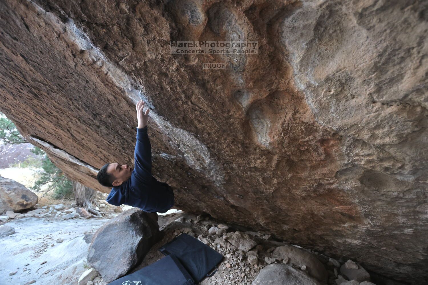 

Filename: SRM_20211125_1436120.jpg
Aperture: f/5.6
Shutter Speed: 1/400
Body: Canon EOS R6
Lens: Canon EF 16-35mm f/2.8 L