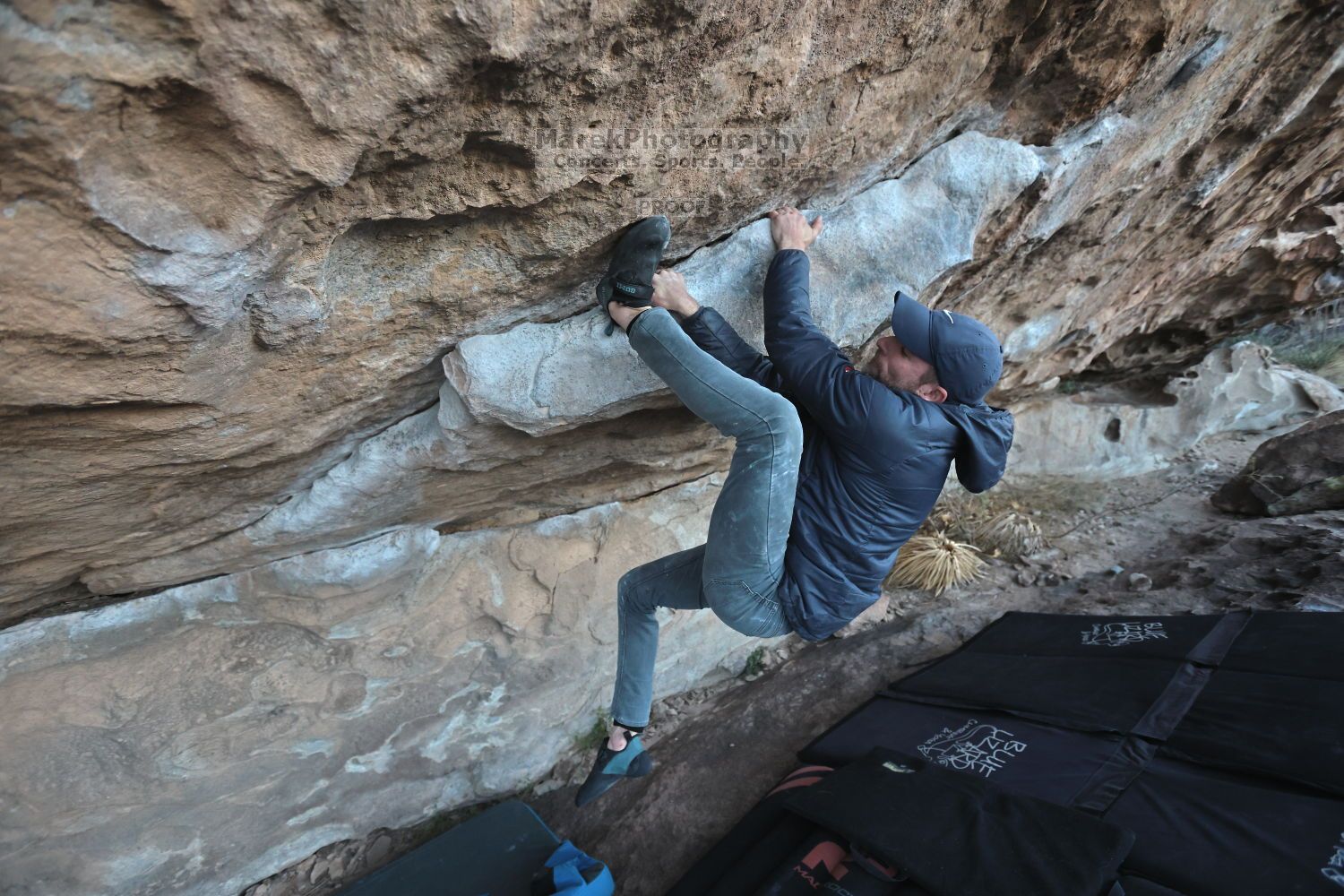 

Filename: SRM_20211125_1647400.jpg
Aperture: f/4.0
Shutter Speed: 1/640
Body: Canon EOS R6
Lens: Canon EF 16-35mm f/2.8 L